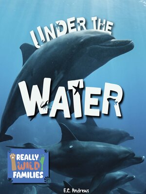 cover image of Under the Water